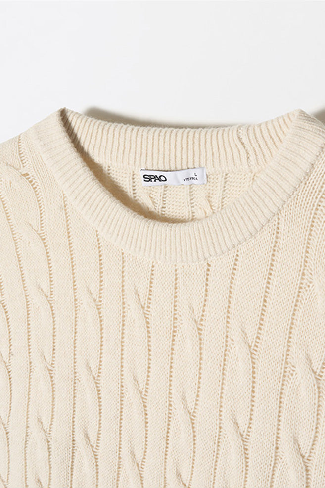 Men Long Sleeve Cable Sweater