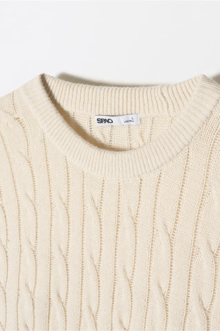 Men Long Sleeve Cable Sweater